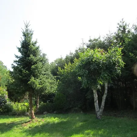 Dom W Niechorzu Dla 8 Osob Z Duzym Ogrodem - 5d *