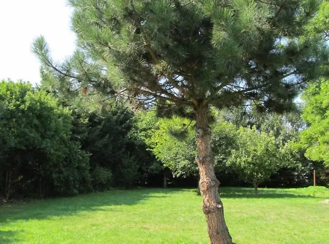 Сasa de vacaciones Dom W Niechorzu